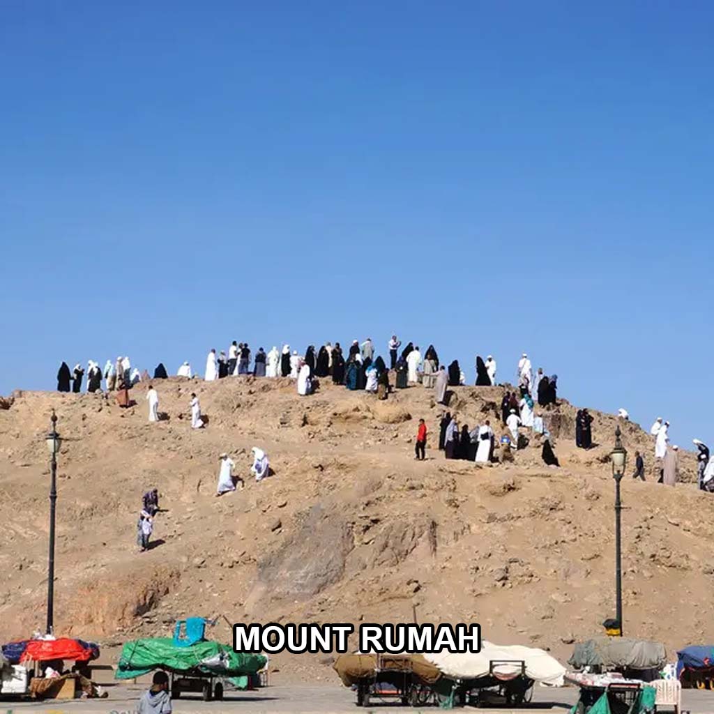 Madinah Sightseeing (Ziyarat) - Image 5