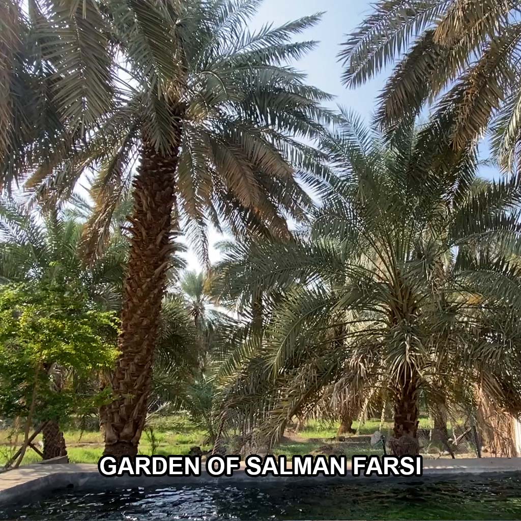 Madinah Sightseeing (Ziyarat) - Image 10