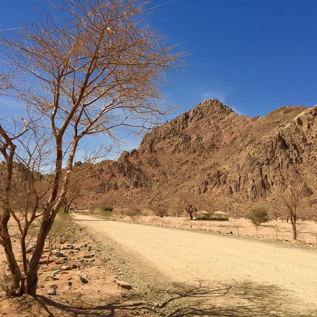 Madinah Sightseeing (Ziyarat)